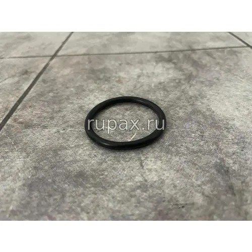 Фото 3697434, 3696207 Кольцо уплотнительное корпуса термостата (X12, ISG12, QSG12) Кольцо уплотнение корпуса термостата 3697434, 3696207 X/ISG/QSG/12