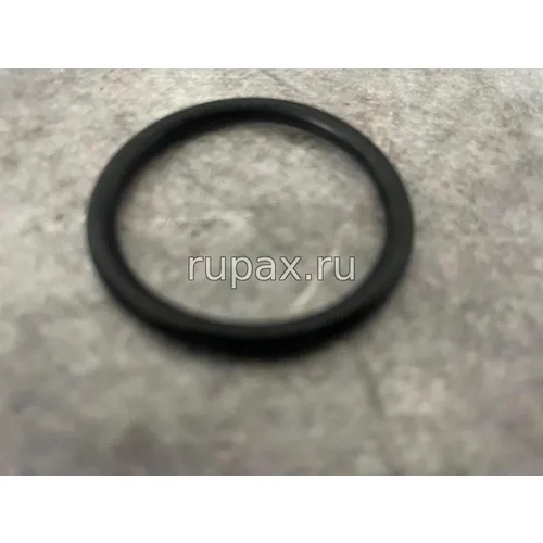 Фото 3697434, 3696207 Кольцо уплотнительное корпуса термостата (X12, ISG12, QSG12) Фото Кольцо уплотнение корпуса термостата 3697434, 3696207 X/ISG/QSG/12
