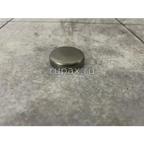 Фото 5521241 Заглушка (ISDe, ISL9.5 Евро4) Заглушка 5521241 ISL9.5/ISDe/Евро4