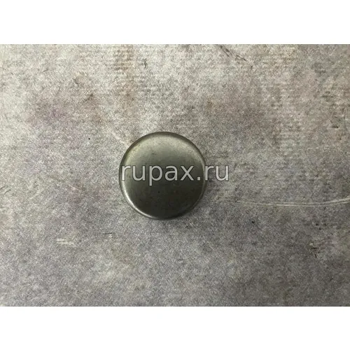 Фото 5521241 Заглушка (ISDe, ISL9.5 Евро4) Фото Заглушка 5521241 ISL9.5/ISDe/Евро4