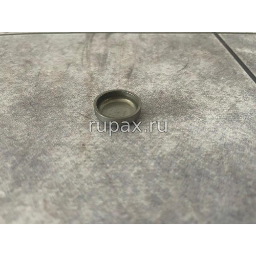 Заглушка ГБЦ головки блока 3007634 X12/X13/ISG13