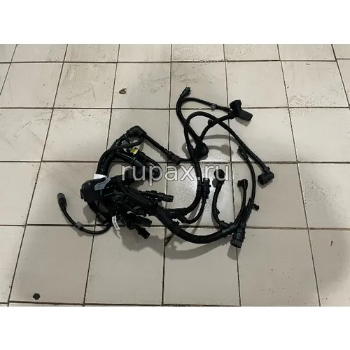 Фото Жгут проводов модуля блока управления ЭБУ 6419253 X12/X13/ISG13