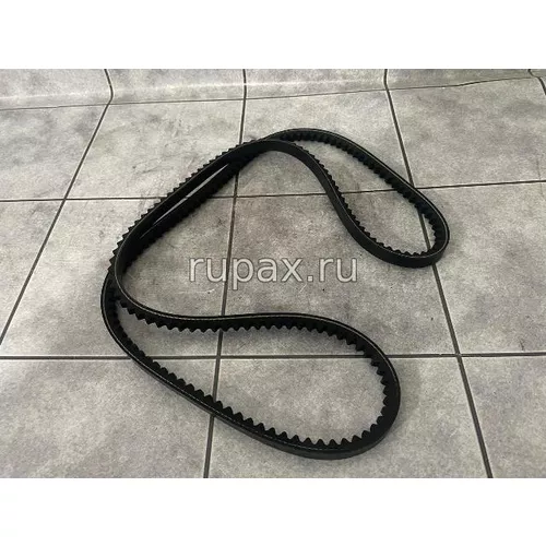 Фото 216736, 202048, 3807198, 3040324 Ремень Ремень 216736, 202048, 3807198, 3040324