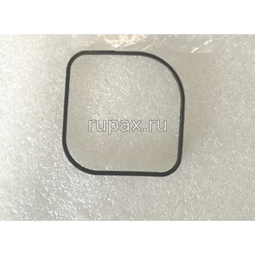 Кольцо уплотнительное крышки распредвала 5719778 (X15)