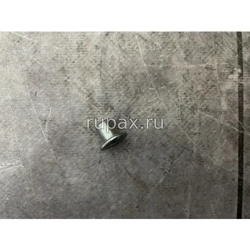 Заглушка 3905368 (10мм)