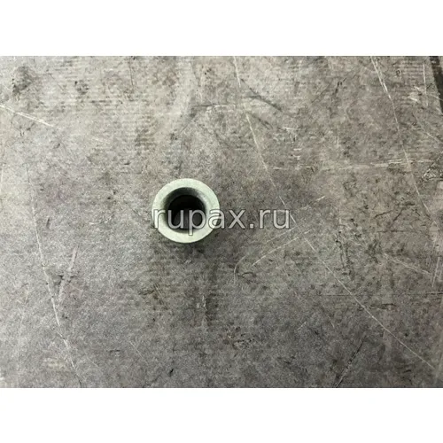 Фото Заглушка 3905368 (10мм)